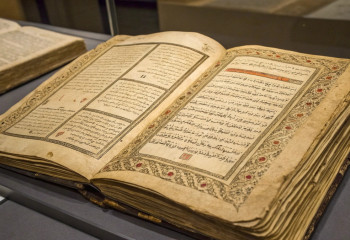 История о «черной смерти» оказалась вымышленной