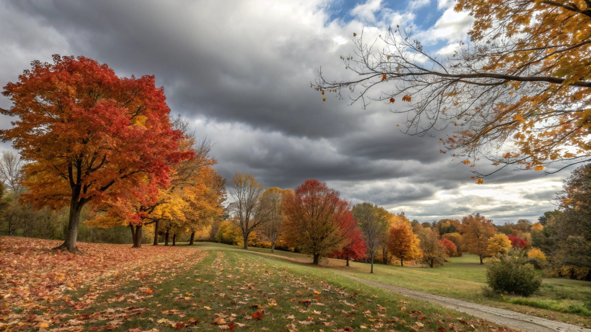  © El.kz / Recraft / Динмухамед БЕЙСЕМБАЕВ 