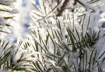 Қытымыр аяз сақталатын аймақтар белгілі болды