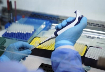 Portugal registers 29 mpox cases since August