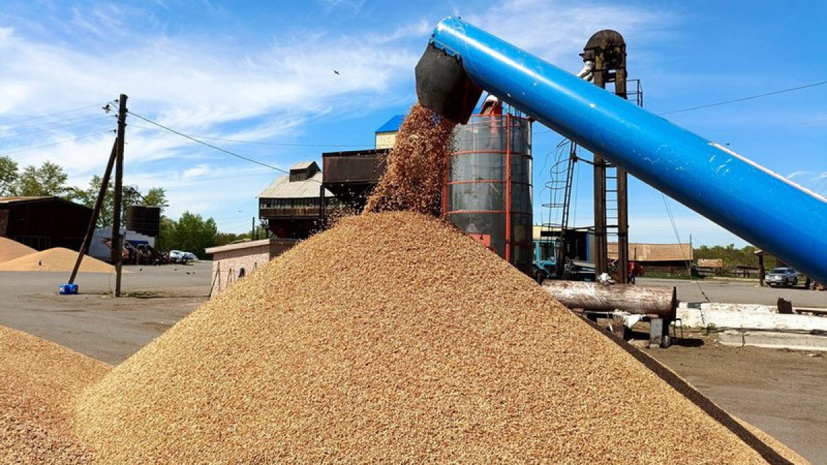  АгроИнсайд 