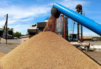 Ақмола облысында астық зауытының құрылысы басталды