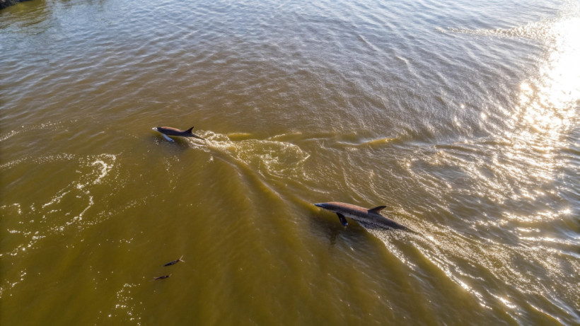  © El.kz / Recraft / Динмухамед БЕЙСЕМБАЕВ 