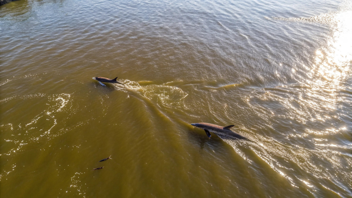  © El.kz / Recraft / Динмухамед БЕЙСЕМБАЕВ 