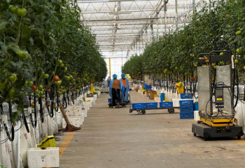 Бүгін – ауыл шаруашылығы жұмыскерлері күні