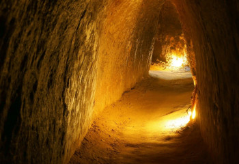 Зерттеушілер ғажайып оқиғаның куәсі болды