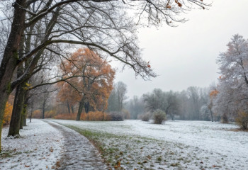 Зима вступает в права: какая погода ждет казахстанцев на следующей неделе