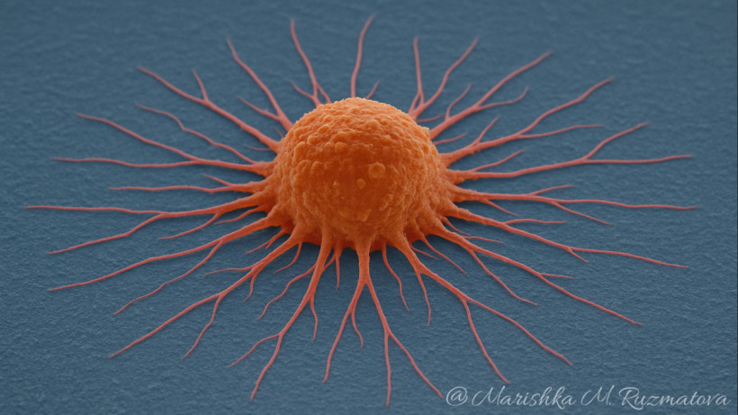  ©El.kz/Марина РУЗМАТОВА/ChatGPT 