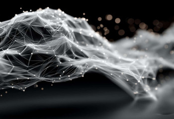 ЖИ-ге күмәндану механизмі орнатылды