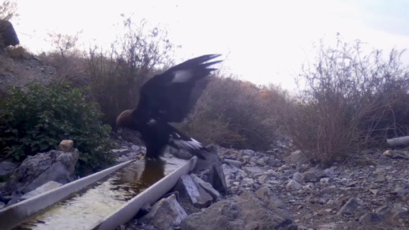  Кадр из видео 