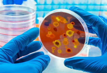 Әлемге қауіп төндіретін инфекция табылды