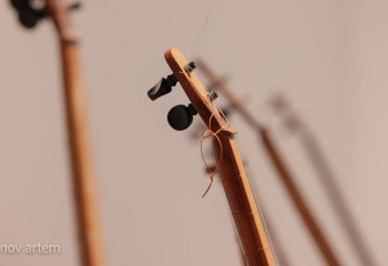 Жеңілдетілген салық режимі: тізімге кімдер енді?