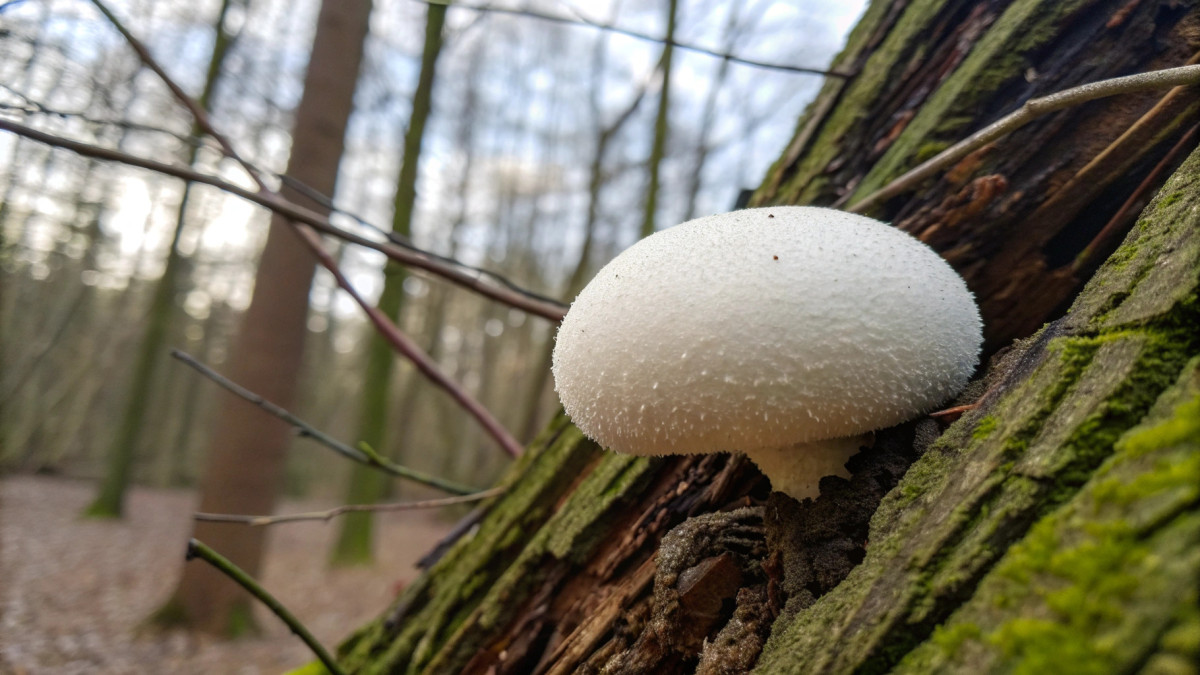  ©recraft.ai 