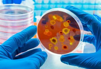 Солтүстік Қазақстанда «Гонконг тұмауы» өршіп тұр