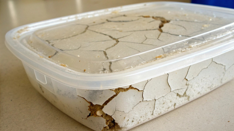  © El.kz / Recraft / Динмухамед БЕЙСЕМБАЕВ 