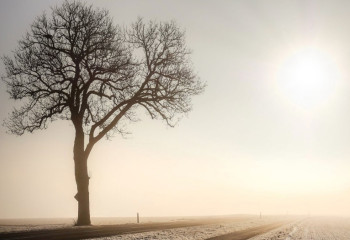 Еліміздің 11 өңірінде дауылды ескерту жарияланды