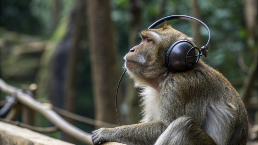  © El.kz / Recraft / Динмухамед БЕЙСЕМБАЕВ 