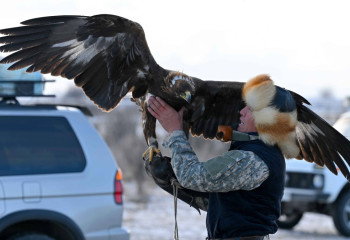 В области Абай прошёл республиканский турнир сокольников «Абай салбурыны – 2025».