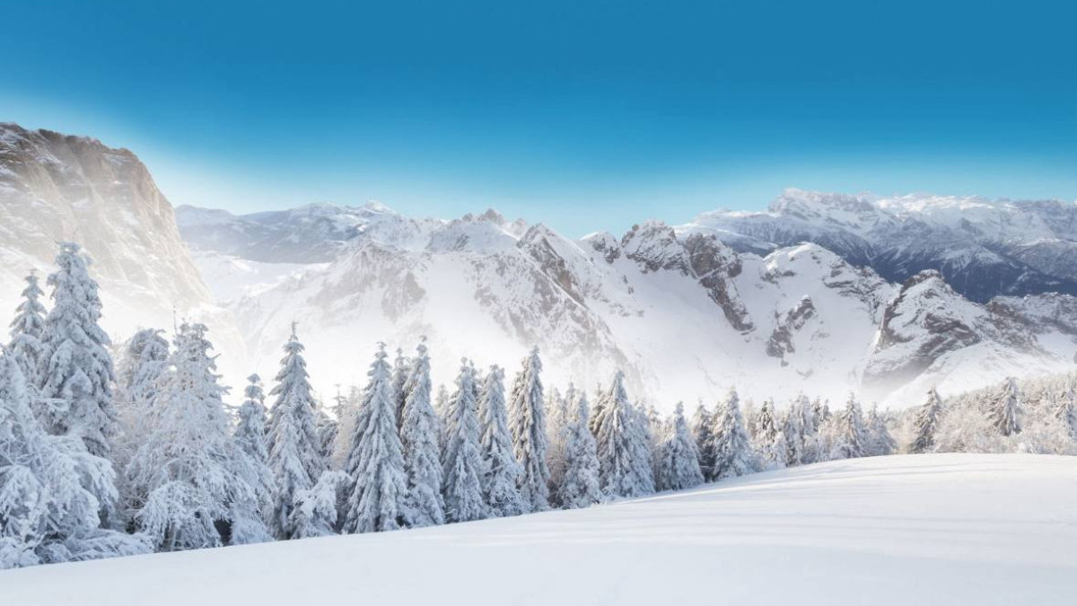  Фото: жасанды интеллект DALL-E-3 