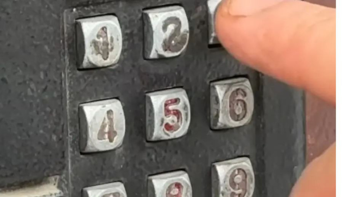  видеодан кадр 