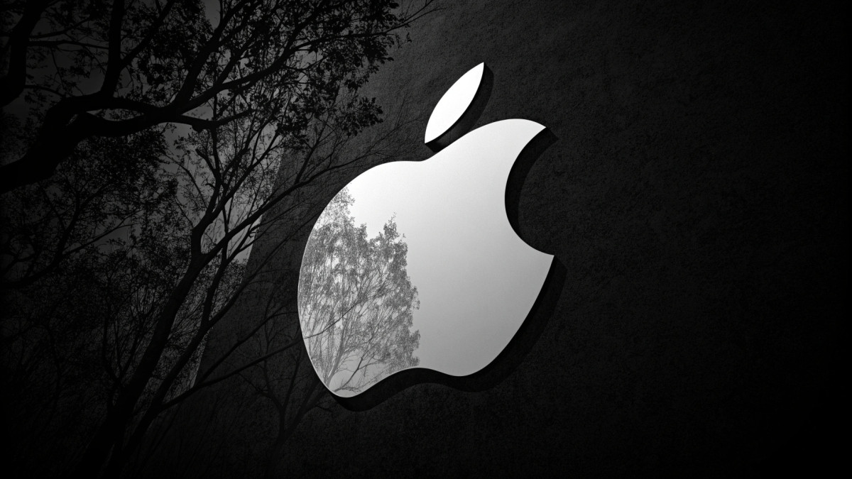  © El.kz / Recraft / Динмухамед БЕЙСЕМБАЕВ 