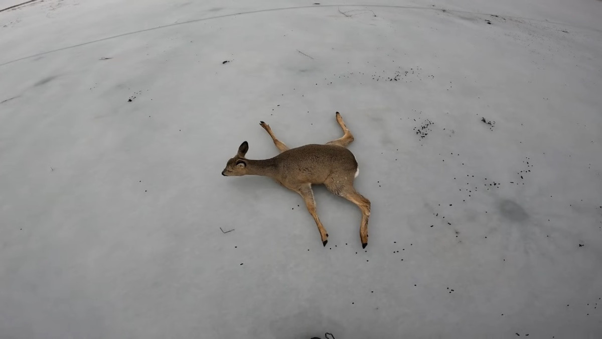  Кадр из видео 