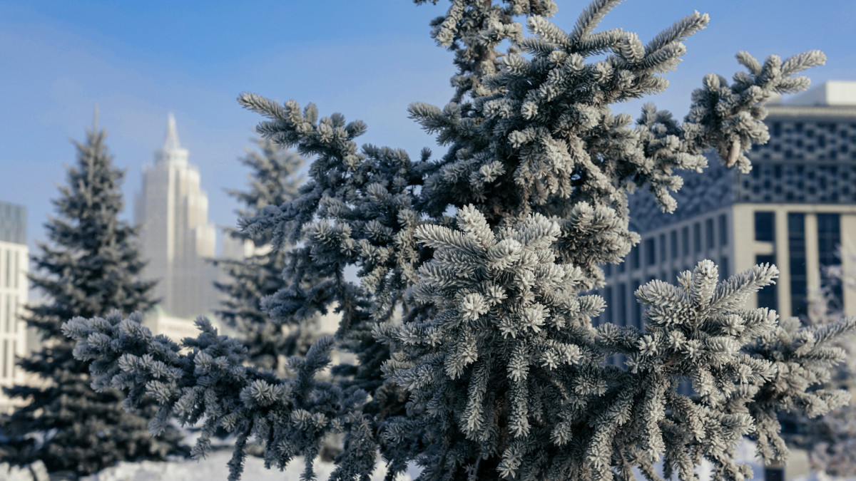  ©El.kz 