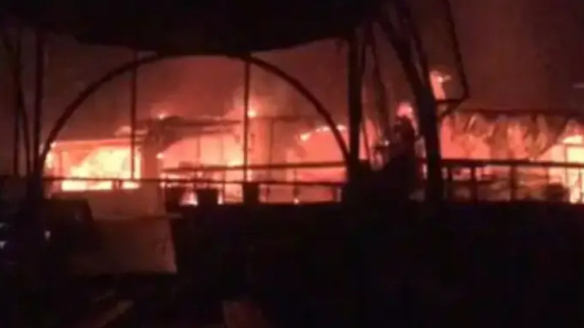  Видеодан кадр 