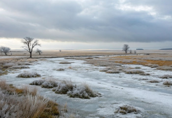 Жёсткие качели погоды: прогноз на неделю по всем регионам Казахстана