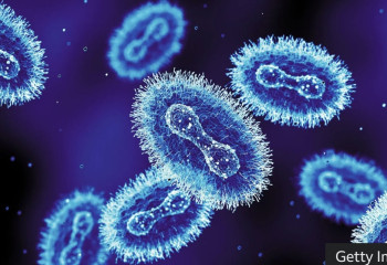 New mpox strain identified in England