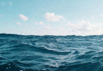 Проект по сохранению моря: объем воды в Северном Арале вырос