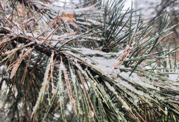 В Алматы сильный снегопад: к середине недели похолодает до минус 16