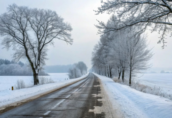 Полиция обратилась с призывом к казахстанским автомобилистам