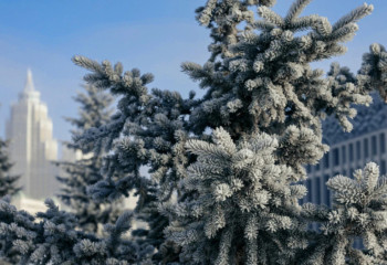 13 желтоқсанда ауа райы қандай болады?