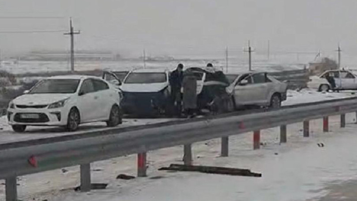  Видеодан кадр 