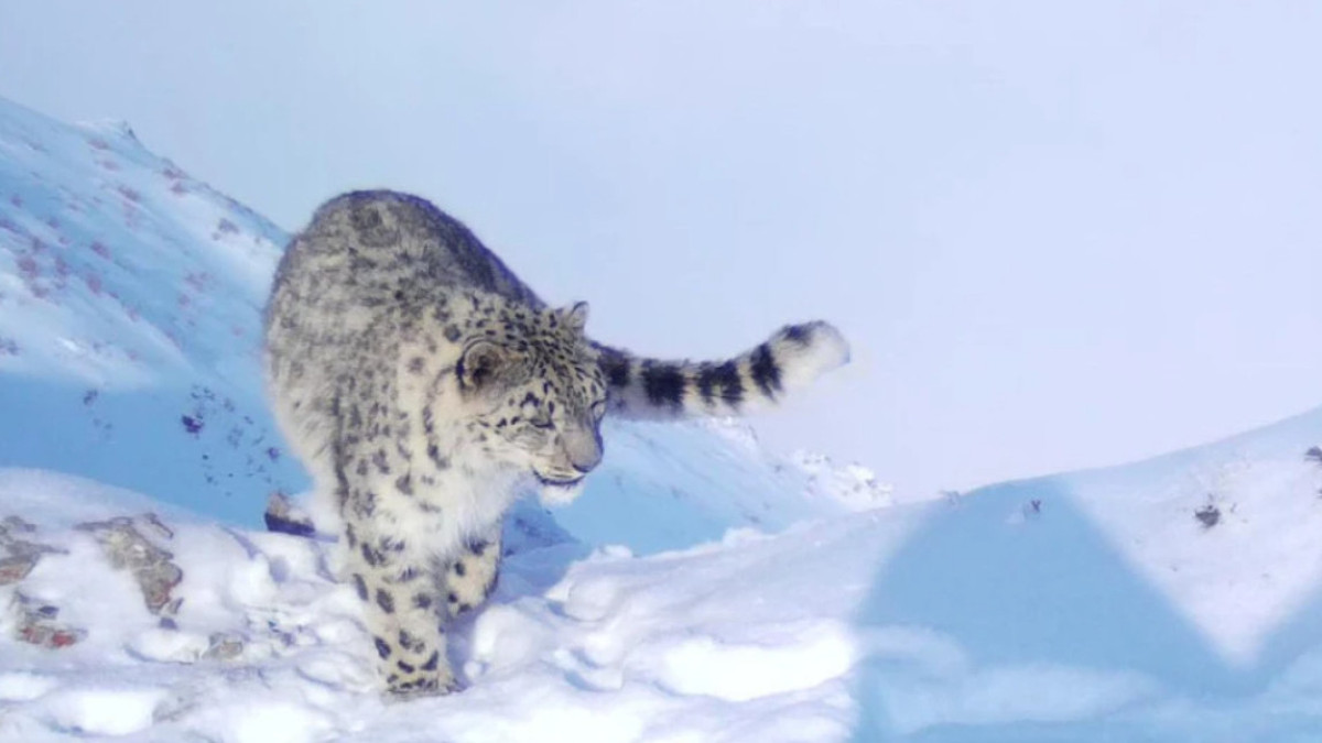  Экология және табиғи ресурстар министрлігі 