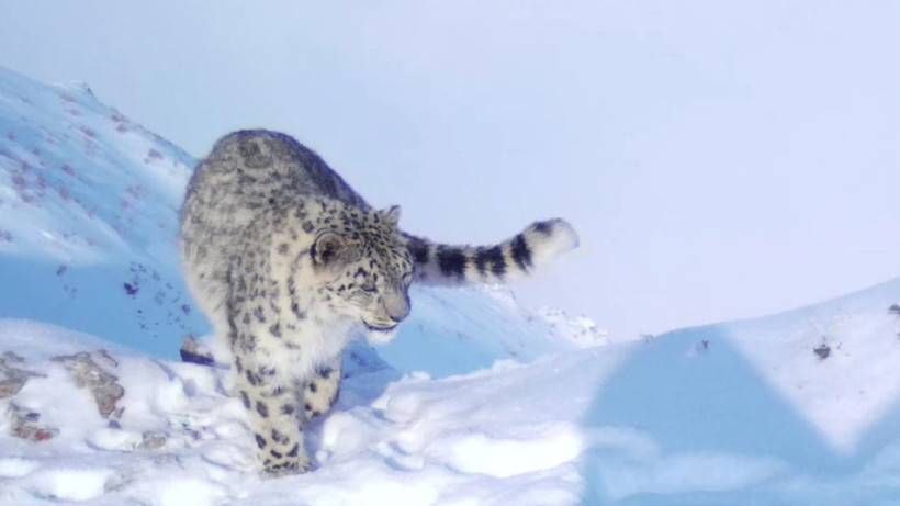  Экология және табиғи ресурстар министрлігі 