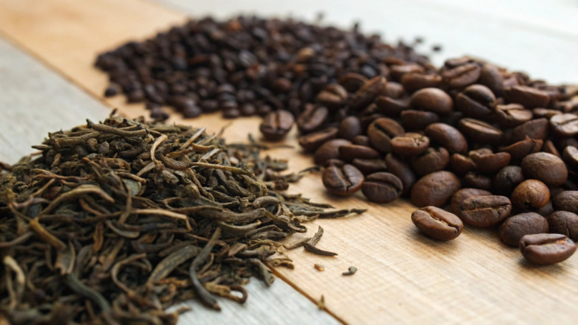  © El.kz / Recraft / Динмухамед БЕЙСЕМБАЕВ 