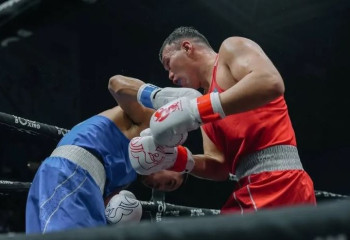 Шымкент Қазақстан бокс федерациясының Кубогын жеңіп алды