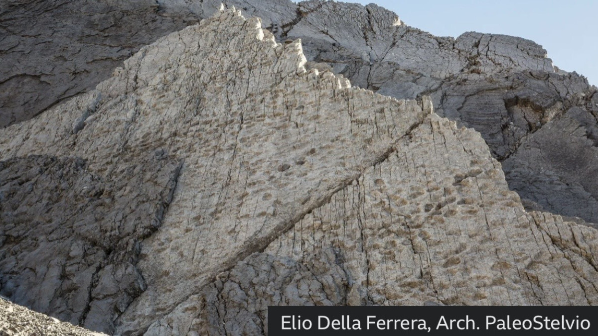  Photographer Elio Della Ferrera snapped the first picture of the mountain wall showing the footprints 