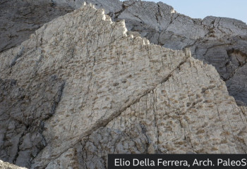 Thousands of dinosaur footprints found on Italian mountain