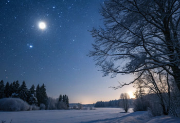 Когда тьма достигает пика: почему сегодня самая длинная ночь в году и что будет дальше