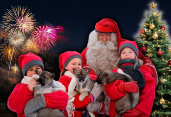 Ертегілер елінде жаңа жылды қарсы алу үшін қанша қаражат керек?