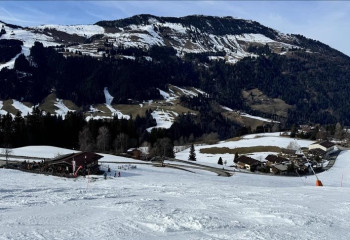 Climate change shrinks Austrian Alps glaciers, threatening tourism and wildlife