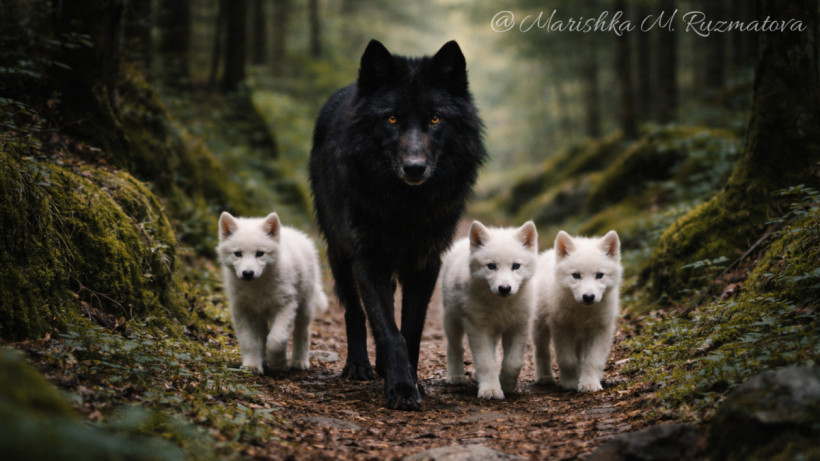  ©El.kz/Марина РУЗМАТОВА/ChatGPT 