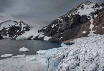 Rising temperatures in the Arctic increase extinction risk for seal species