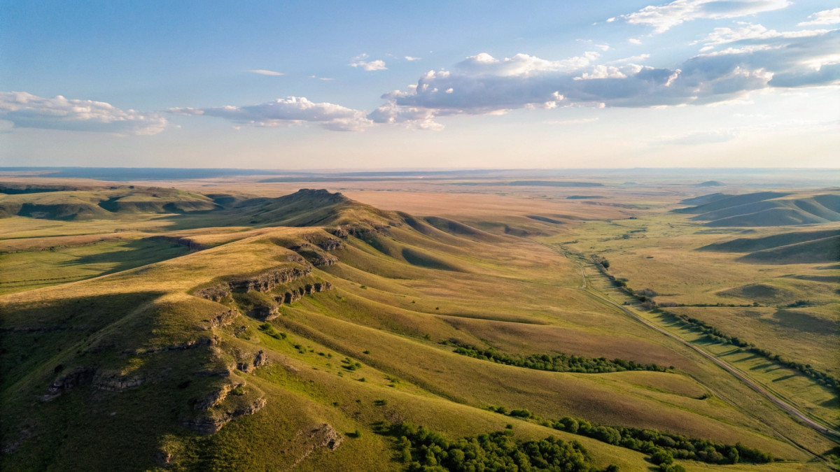  © El.kz / Recraft / Динмухамед БЕЙСЕМБАЕВ 