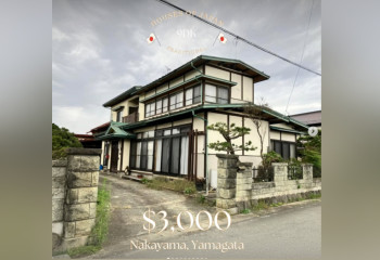 В Японии можно купить коттеджи за 1,5 млн тенге: что случилось