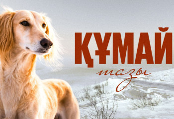 Құмай тазы - қазақ даласының киесі, көшпелі рухтың тірі тұяғы