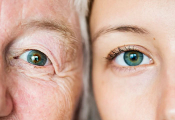 Қартаюды тежеудің жаңа кілті: ғалымдар тың жаңалық ашты